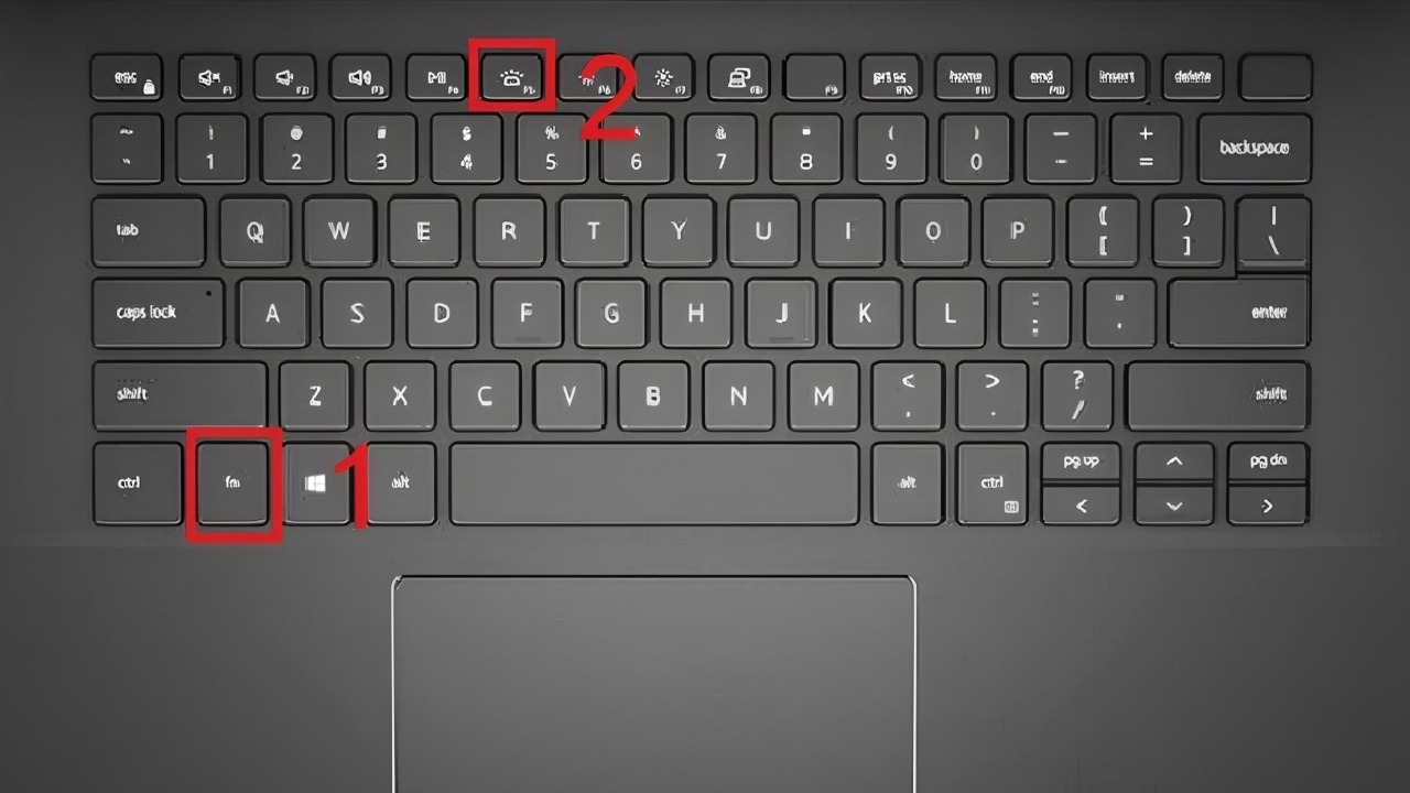 Bàn phím laptop không lên đèn: Nhấn phím chức năng biểu tượng đèn (hoặc kết hợp Fn) để bật và đổi các mức độ sáng