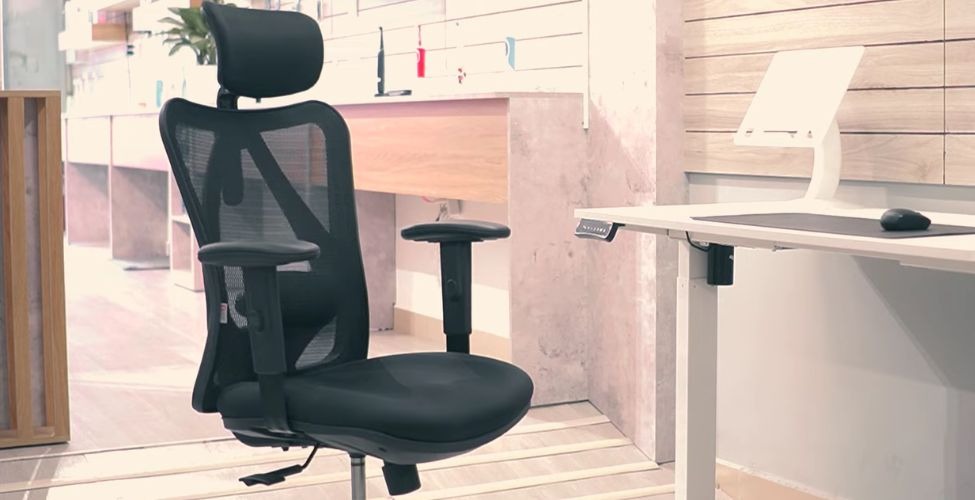 Ghế công thái học SIHOO M18