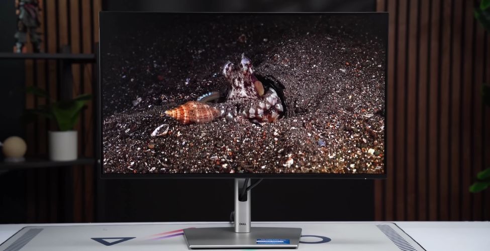 Tần số quét màn hình Dell