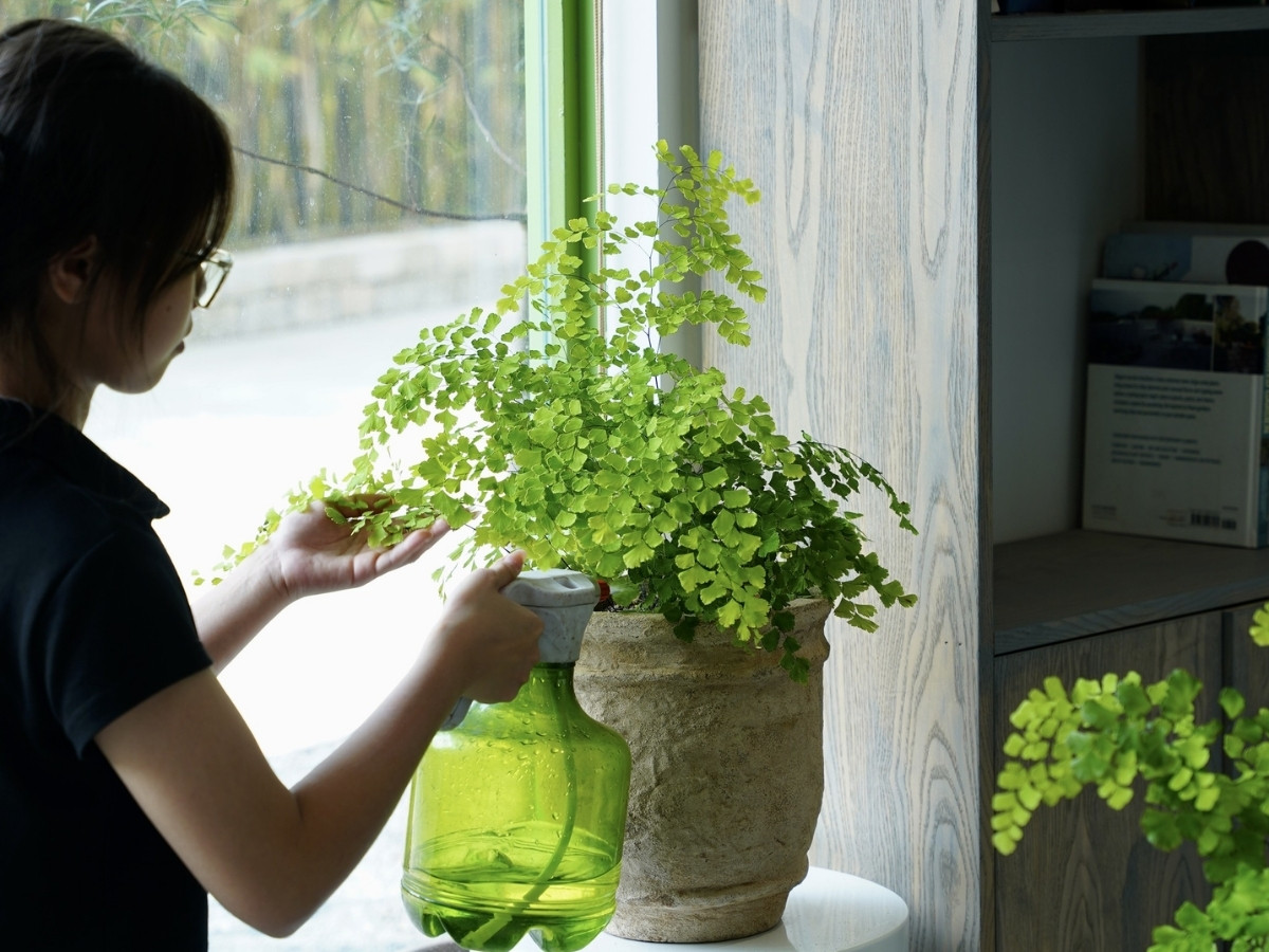 Tưới nước đúng cách giúp cây luôn tươi tốt, nạp đầy năng lượng dương Tưới nước đúng cách giúp cây luôn tươi tốt, nạp đầy năng lượng dương