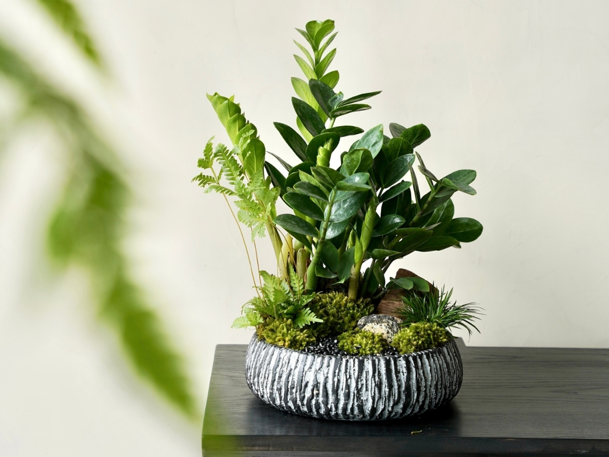 Kim tiền mini có ý nghĩa phong thủy tài lộc