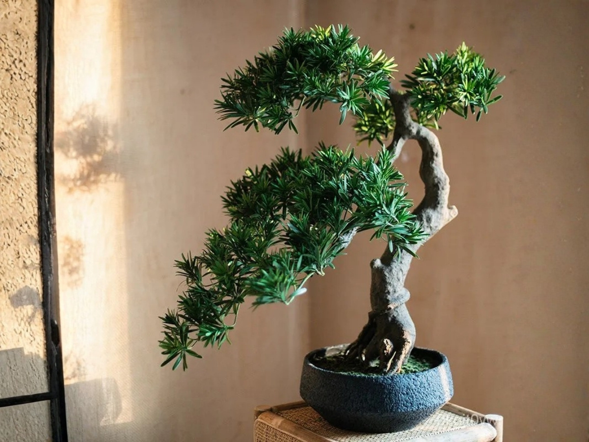 Điểm tựa thị giác giúp tâm trí tĩnh tại hơn Điểm tựa thị giác giúp tâm trí tĩnh tại hơn