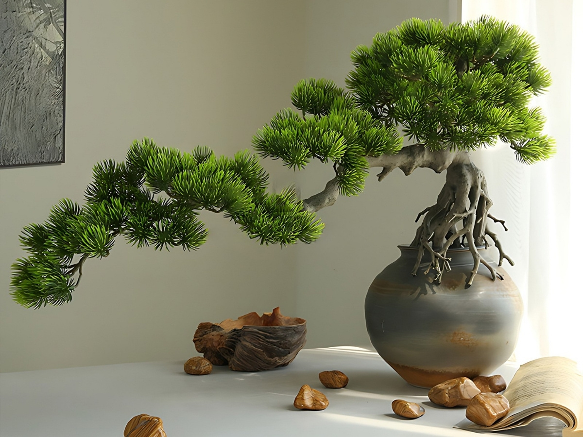 Giữ độ ẩm hợp lý để cây luôn xanh tốt Giữ độ ẩm hợp lý để cây luôn xanh tốt