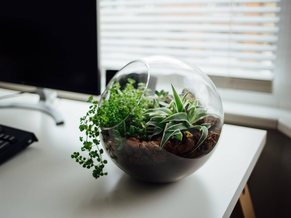 Phong thủy bàn làm việc giúp người mệnh Thổ tăng may mắn và hiệu quả công việc
