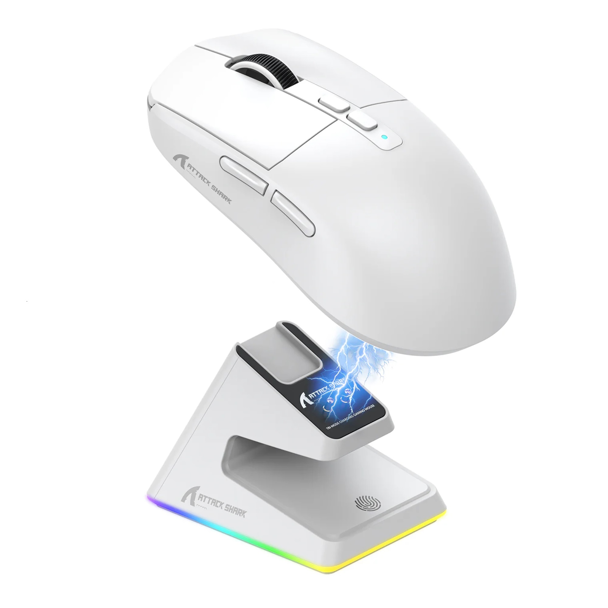 chuot-khong-day-attack-shark-