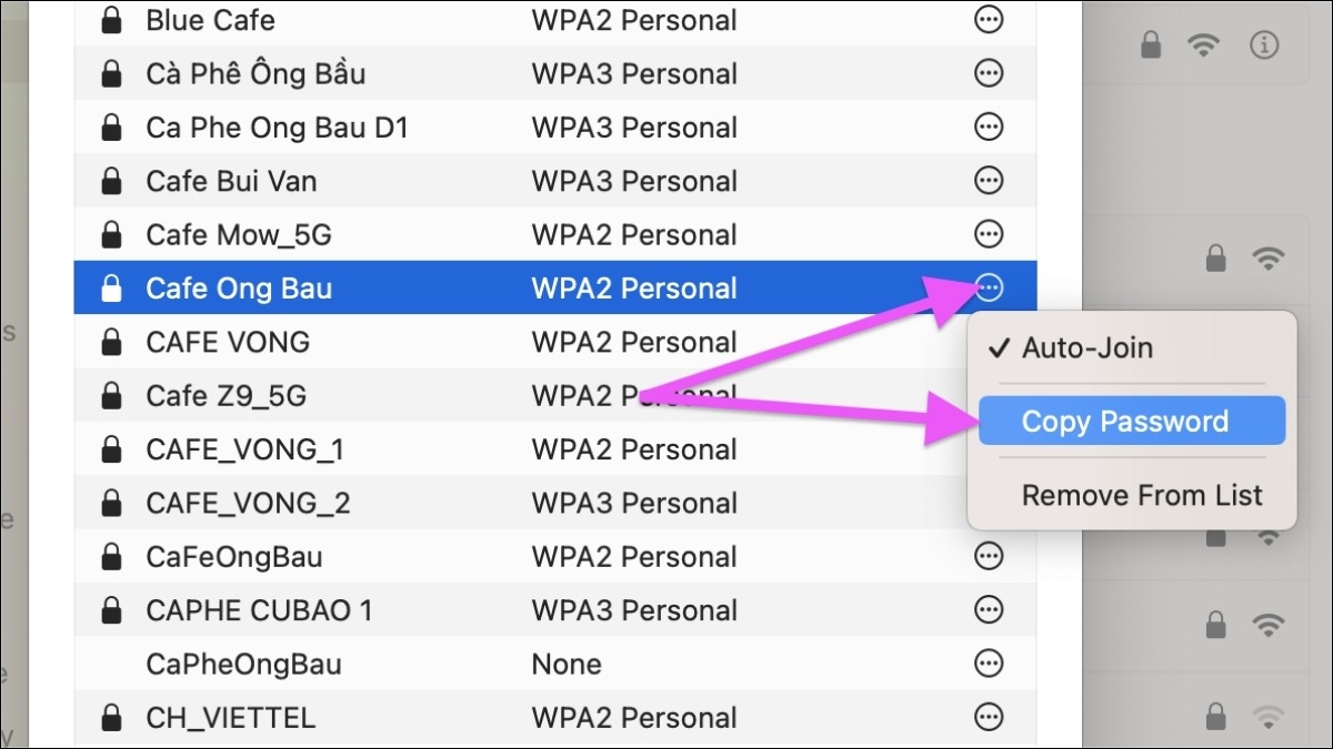 Nhấp vào nút Copy Password