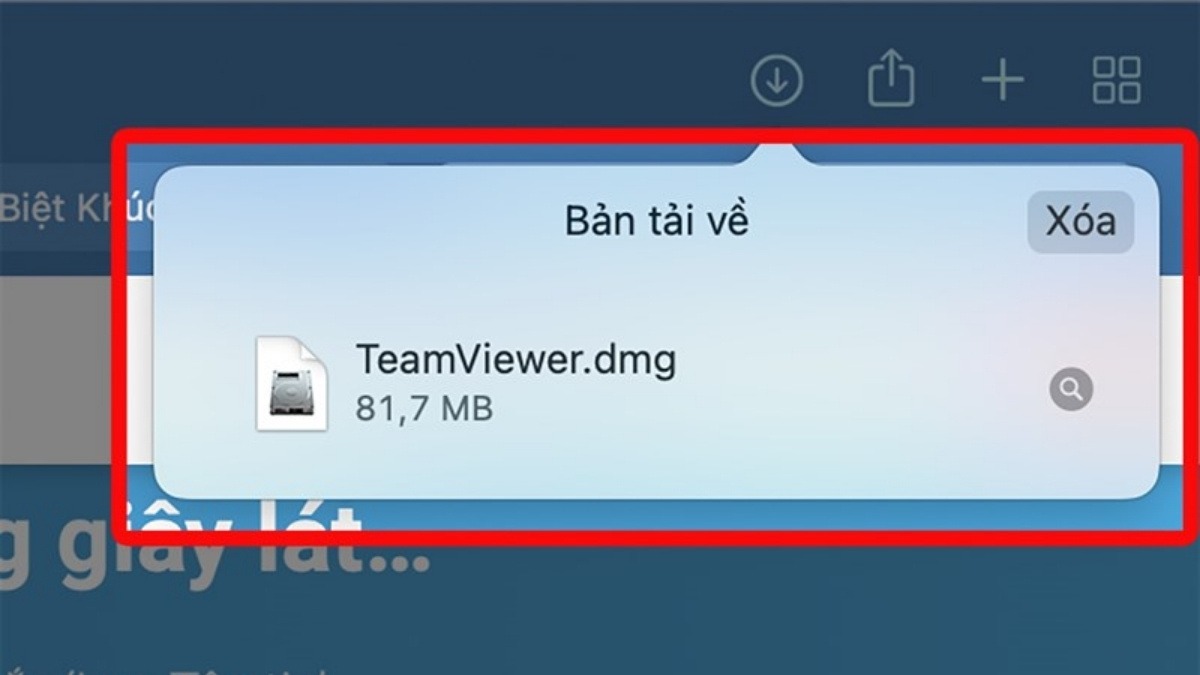 Mở file TeamViewer.dmg vừa tải về