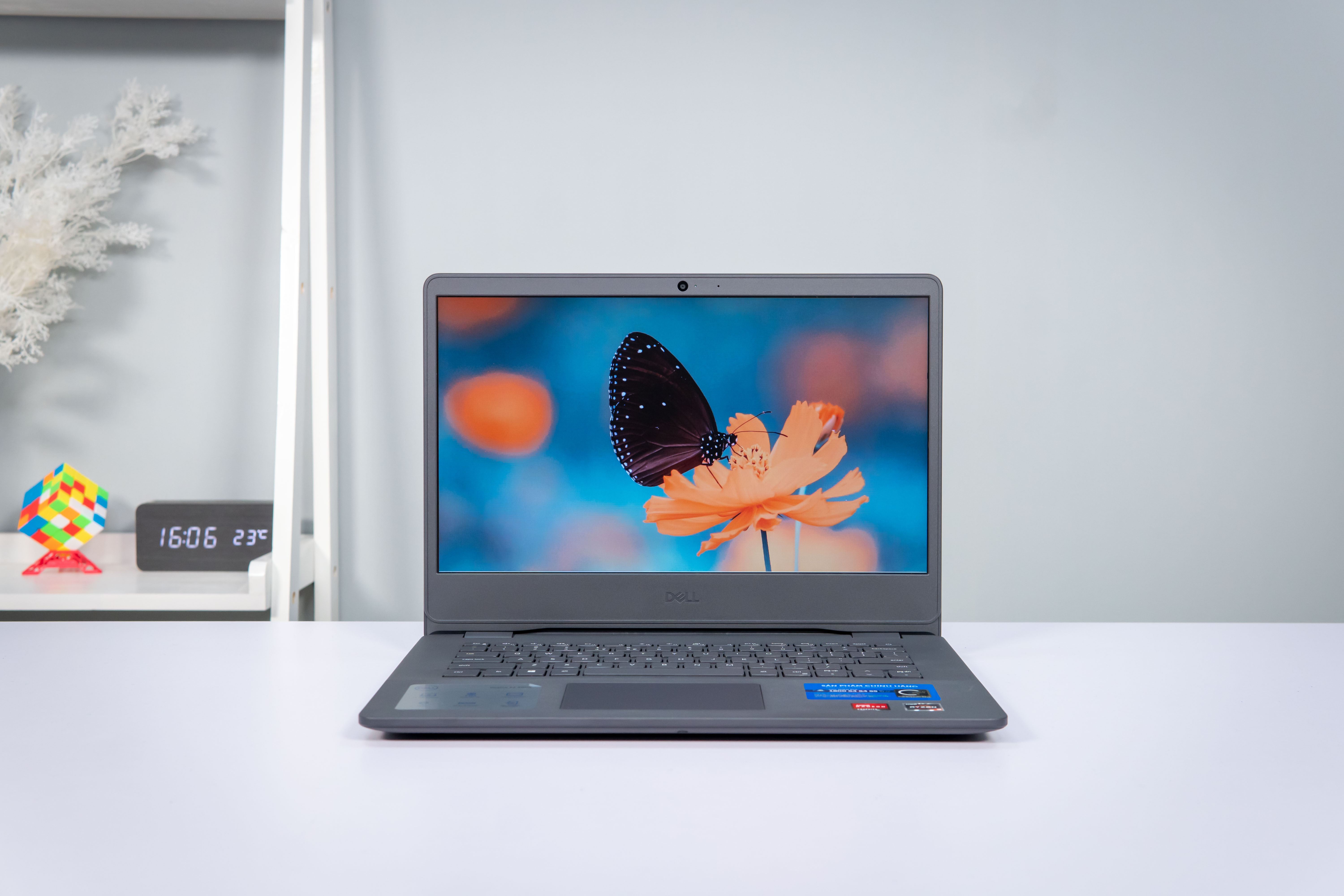 Laptop Dell Vostro 3405 với màn hình Full HD, SSD 256GB, phù hợp sinh viên y khoa